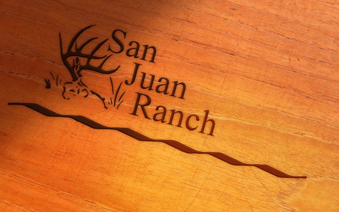 South Texas Guided Hunts